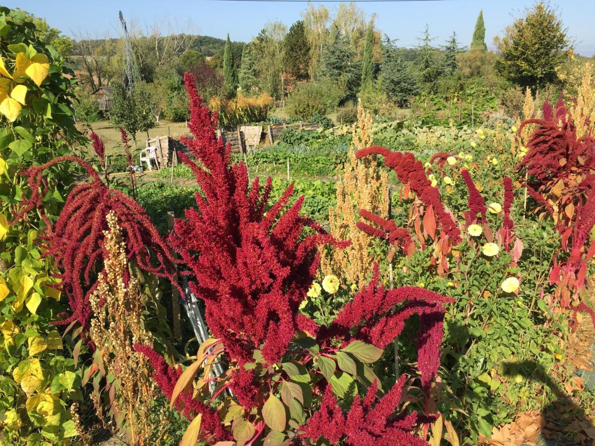 La Source, Vegetarian Guest House Chabeuil エクステリア 写真