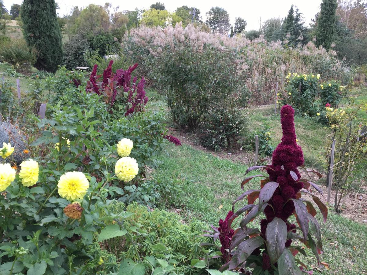 La Source, Vegetarian Guest House Chabeuil エクステリア 写真