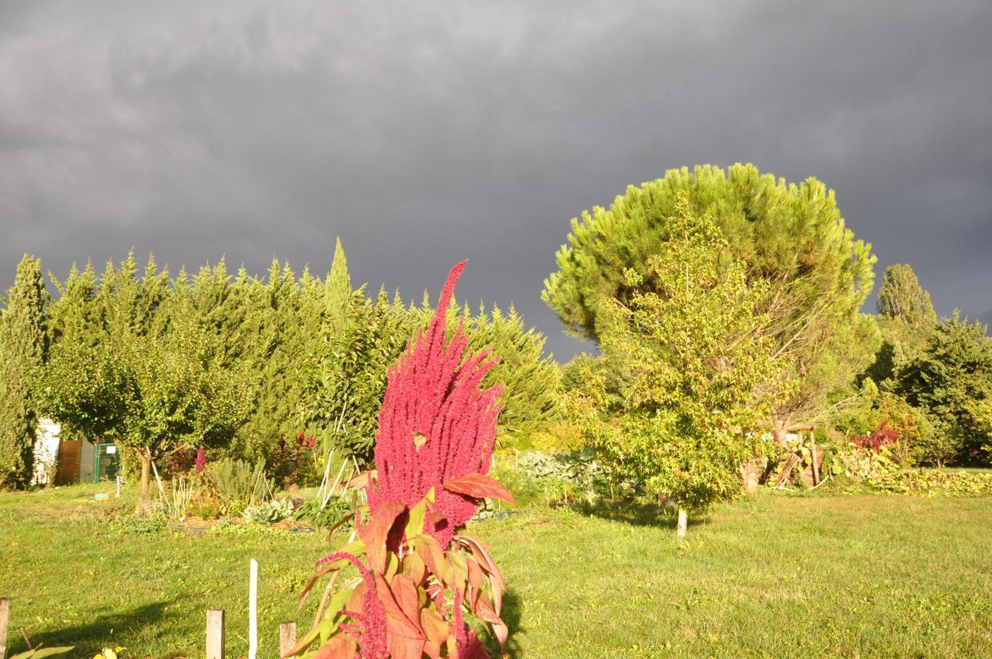 La Source, Vegetarian Guest House Chabeuil エクステリア 写真