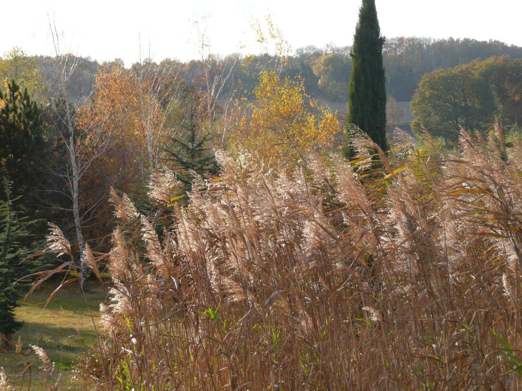 La Source, Vegetarian Guest House Chabeuil エクステリア 写真