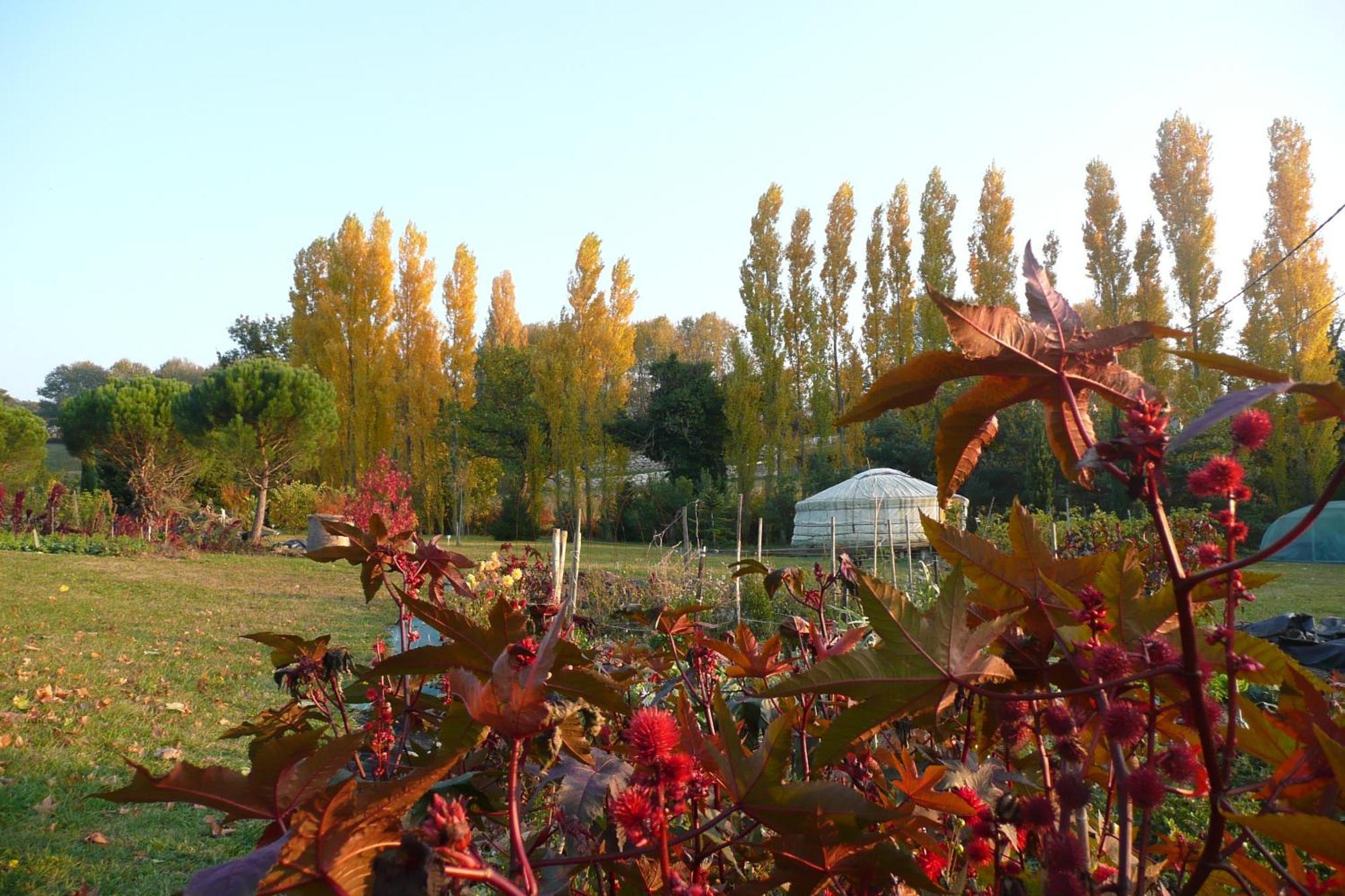 La Source, Vegetarian Guest House Chabeuil エクステリア 写真