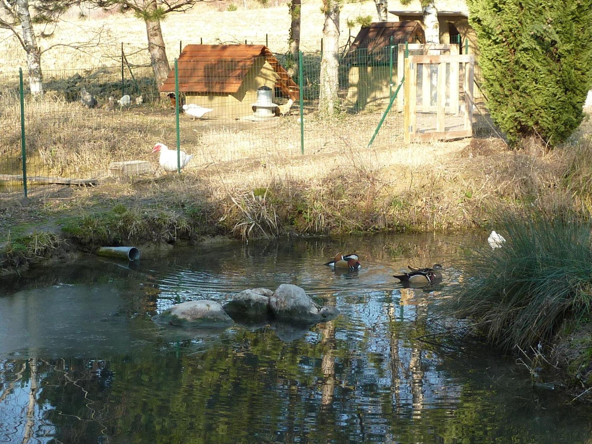 La Source, Vegetarian Guest House Chabeuil エクステリア 写真